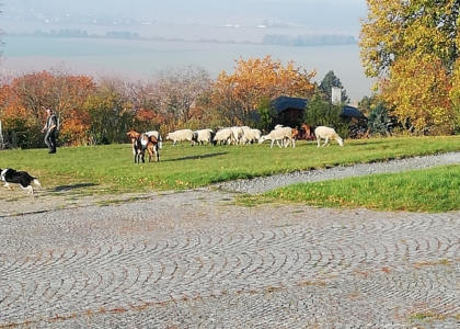 22.10. 2019 Ozdravný pobyt na Sv. Kopečku